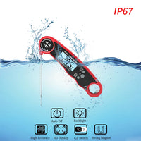 Precision Instant Read Thermometer™